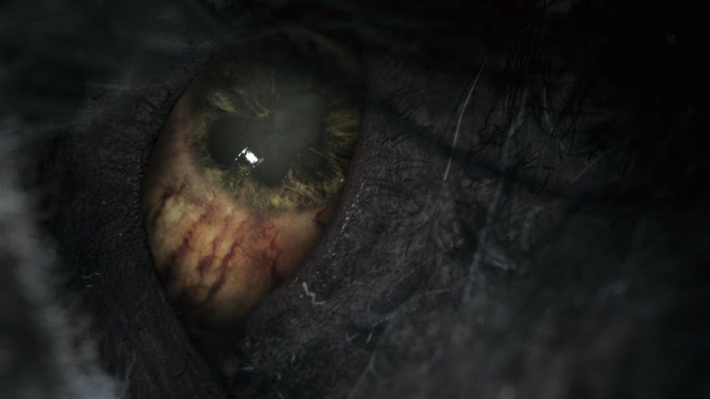 Bloodborne | PS4 | Video Game